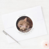 PET-LIEBE Große runde Umschlag Aufkleber (Umschlag)