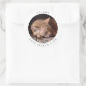 PET-LIEBE Große runde Umschlag Aufkleber (Tasche)