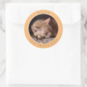 PET-LIEBE Große runde Umschlag Aufkleber / Pfirsic (Tasche)