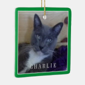 PET LIEBE Keramik Square Ornament / Green (Rechts)