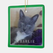 PET LIEBE Keramik Square Ornament / Green (Links)