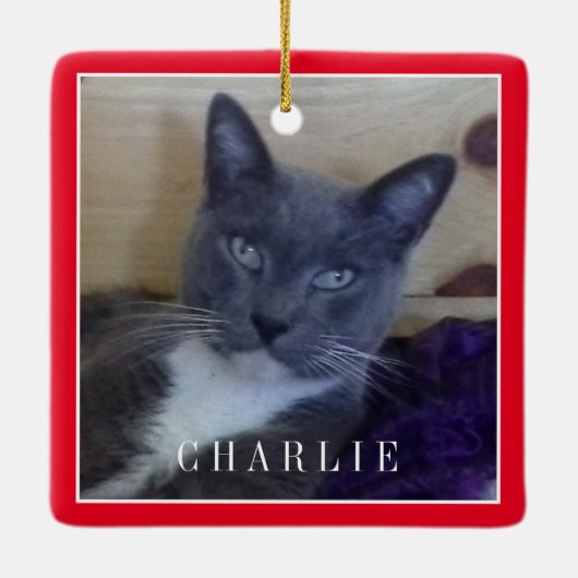 PET LIEBE Keramik Square Ornament / Rot (Rückseite)