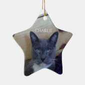 PET LIEBE Keramik Star Ornament (Rechts)