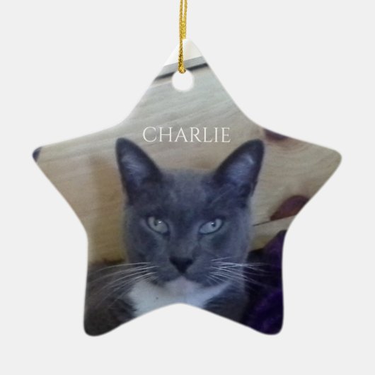 PET LIEBE Keramik Star Ornament (Vorne)