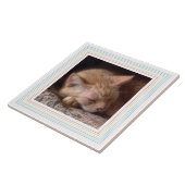 PET LIEBE Keramik Tile / Regenbogen Fliese (Seite)