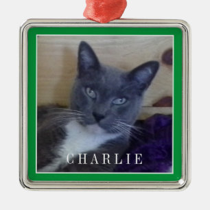 PET LIEBE Premium Square Ornament / Grün Aus Metall