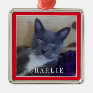 PET LIEBE Premium Square Ornament - Rot