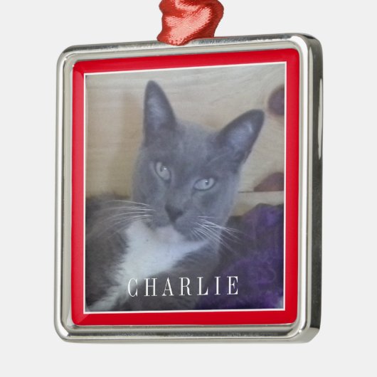 PET LIEBE Premium Square Ornament - Rot (Links)