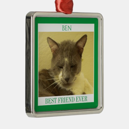 PET LIEBE Premium Square Ornament + Text / Grün (Rechts)