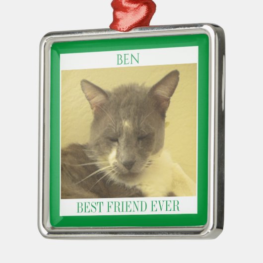 PET LIEBE Premium Square Ornament + Text / Grün (Links)