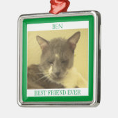 PET LIEBE Premium Square Ornament + Text / Grün Aus Metall (Links)