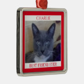 PET LIEBE Premium Square Ornament + Text / Rot (Rechts)