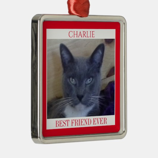 PET LIEBE Premium Square Ornament + Text / Rot (Rechts)