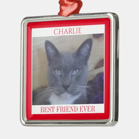 PET LIEBE Premium Square Ornament + Text / Rot (Links)