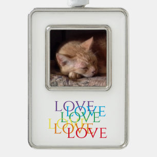 PET LIEBE Vertikales Gerahmtes Foto Ornament Rahmen-Ornament Silber