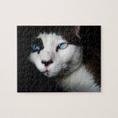 Pet Life | Schwarz-weißes Siamese Cat Blue Eyes Fo Puzzle (Horizontal)