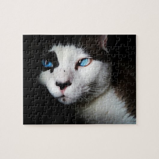 Pet Life | Schwarz-weißes Siamese Cat Blue Eyes Fo Puzzle (Horizontal)