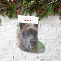 Pet Llama Lover Eigentümer Foto & Name Personalisi