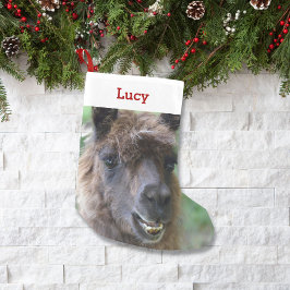 Pet Llama Lover Eigentümer Foto & Name Personalisi Kleiner Weihnachtsstrumpf