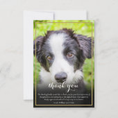 Pet Loss Beileid Foto Dankeskarte (Vorderseite)