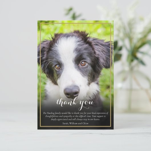 Pet Loss Beileid Foto Dankeskarte (Stehend Vorderseite)