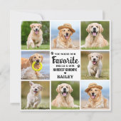 Pet Loss Custom 8 Foto Dog Memorial Beileid Dankeskarte (Vorderseite)