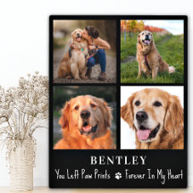 Pet Loss Gabe Hund Memorial Custom 4 Foto Collage
