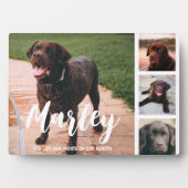 Pet Loss individuelle FotoCollage Fotoplatte (Vorderseite)