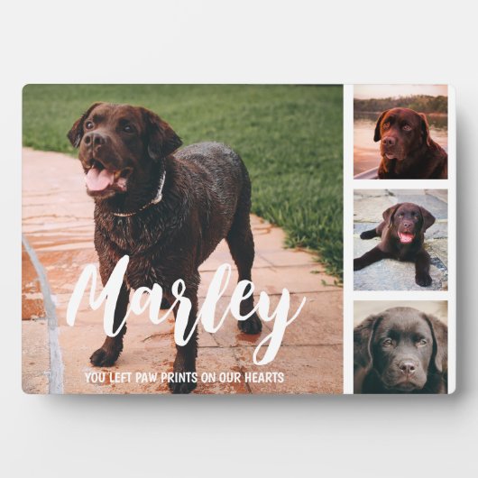 Pet Loss individuelle FotoCollage Fotoplatte (Vorderseite)