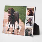 Pet Loss individuelle FotoCollage Fotoplatte (Seite)