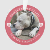 Pet Loss Memorial Keepake Foto Modernes Ornament (Vorderseite)