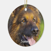 Pet Loss Rainbow Bridge Foto Keramik Ornament (Links)