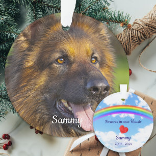 Pet Loss Rainbow Bridge Foto Ornament