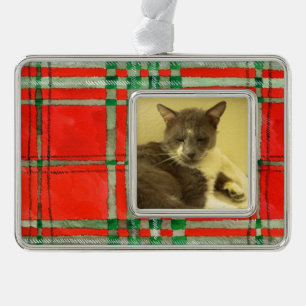 PET LOVE Gerahmter Horiz Ornament / Roter Scott Ka Rahmen-Ornament Silber