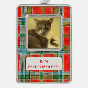 PET LOVE gerahmter Vert-Schmuck + Text MacBainPlai Rahmen-Ornament Silber