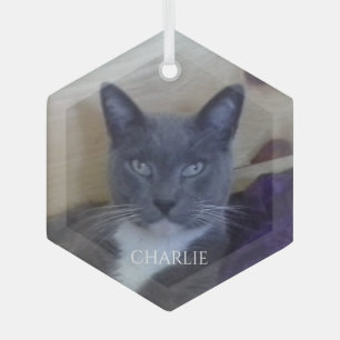 PET LOVE Glas-Sechseck-Anhänger Ornament Aus Glas