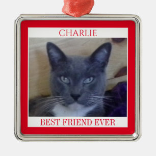 PET LOVE Premium Quadratischer Schmuck + Text / Ro Ornament Aus Metall