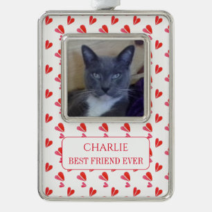 PET LOVE Verzierte Vert-Ornament + Text / Herzen Rahmen-Ornament Silber