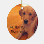 Pet Lover Animal Foto Ornament (Links)