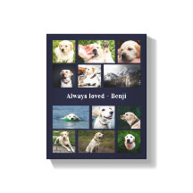 Pet Lover Keepake