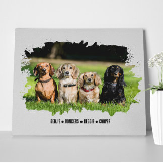 Pet Lover Mama Dog Cat Foto Name des Tieres Leinwanddruck