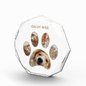 Pet Lovers Custom Gold Paw Print Name Collage Fotoblock (Rechts)
