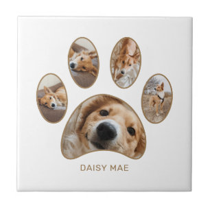 Pet Lovers Gold Paw Print Name Collage Fliese