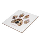 Pet Lovers Rose Gold Paw Print Name Collage Fliese (Seite)