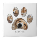 Pet Lovers Silver Paw Print Collage Custom Fliese (Vorderseite)