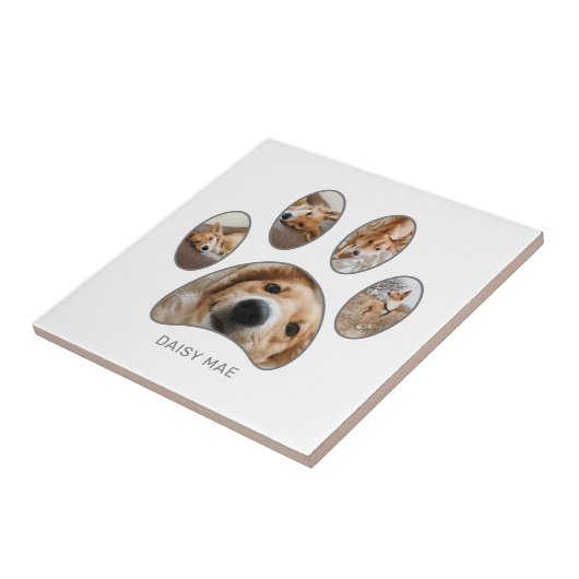 Pet Lovers Silver Paw Print Collage Custom Fliese (Seite)