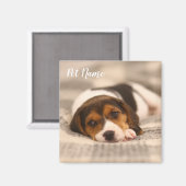 Pet-Magnet mit Foto und Name individuell anpassen Magnet (Vorderseite/Rückseite)