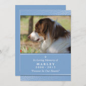 Pet Memorial 12x18 Light Blue God sah Sie Gedicht Ankündigung (Vorne/Hinten)