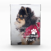 Pet Memorial Beileid Pet Loss Foto Block (Vorderseite)