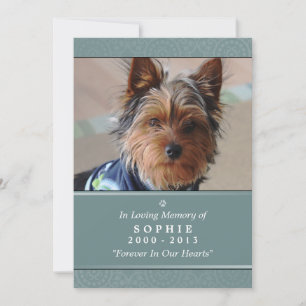 Pet Memorial Card 12x18 Aquamarin Gottes Gartenged Ankündigung